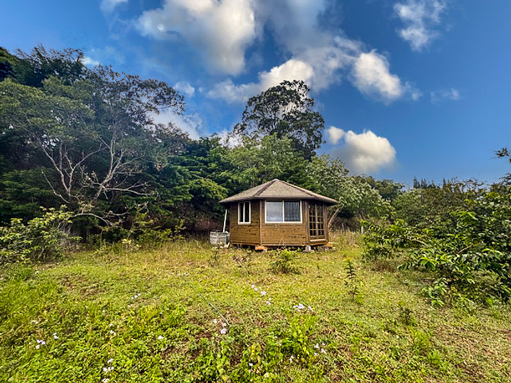 Small wooden cabin in a grassy clearing surrounded by trees under a bright blue sky with clouds.