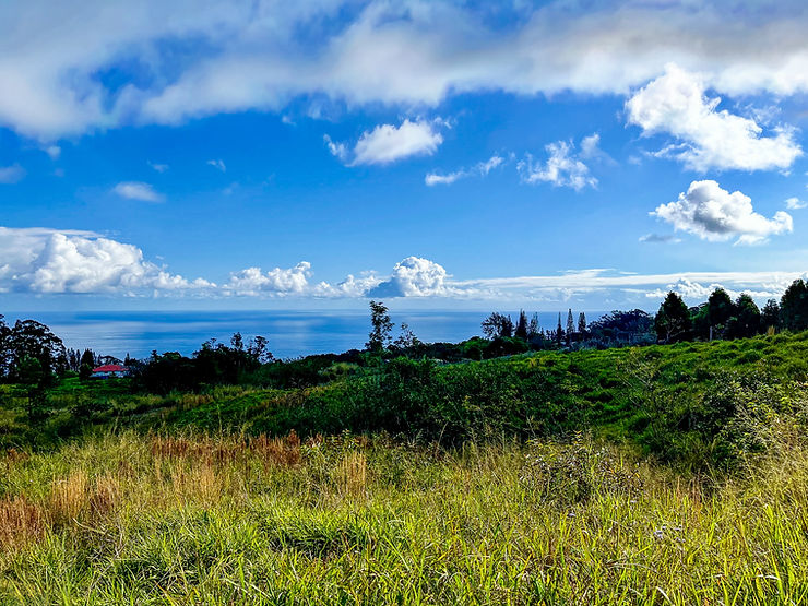 Bright green hillside overlooking a calm blue ocean under a wide sky with large white clouds; peaceful coastal landscape