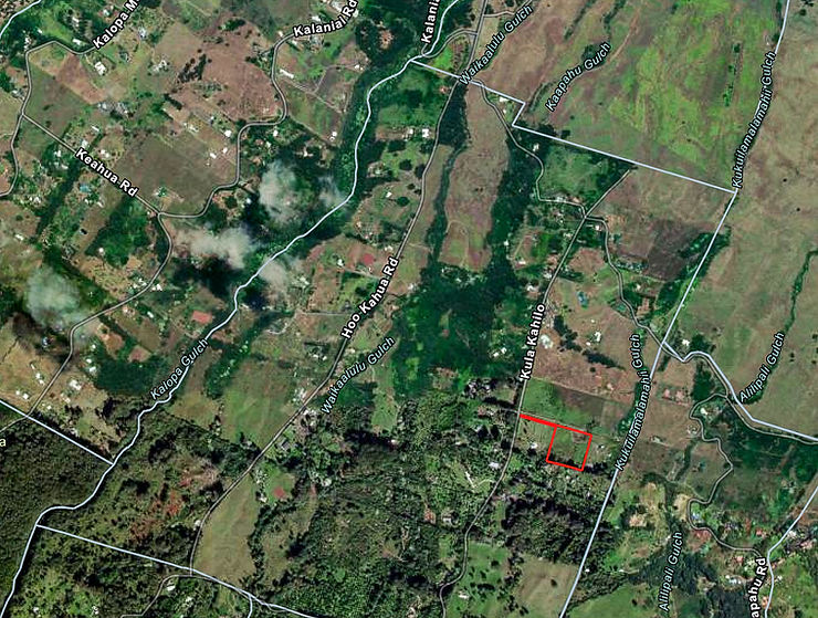Satellite map of rural green fields and gullies with a red outlined parcel near Kukuialamahi Gulch and road labels.