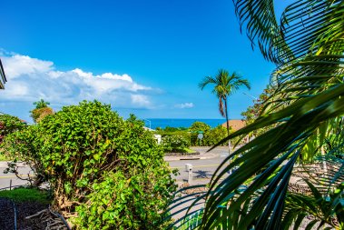 Ocean view from Keauhou house