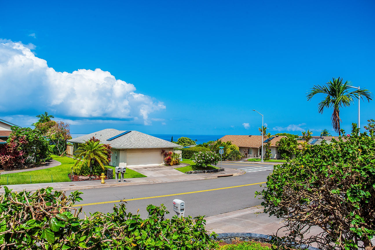 Sunny tropical suburb with palm trees, houses, and ocean view under a bright blue sky with large clouds