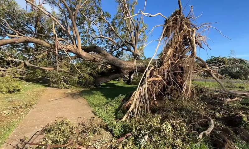 Princeville Kauai after hurricane lowell