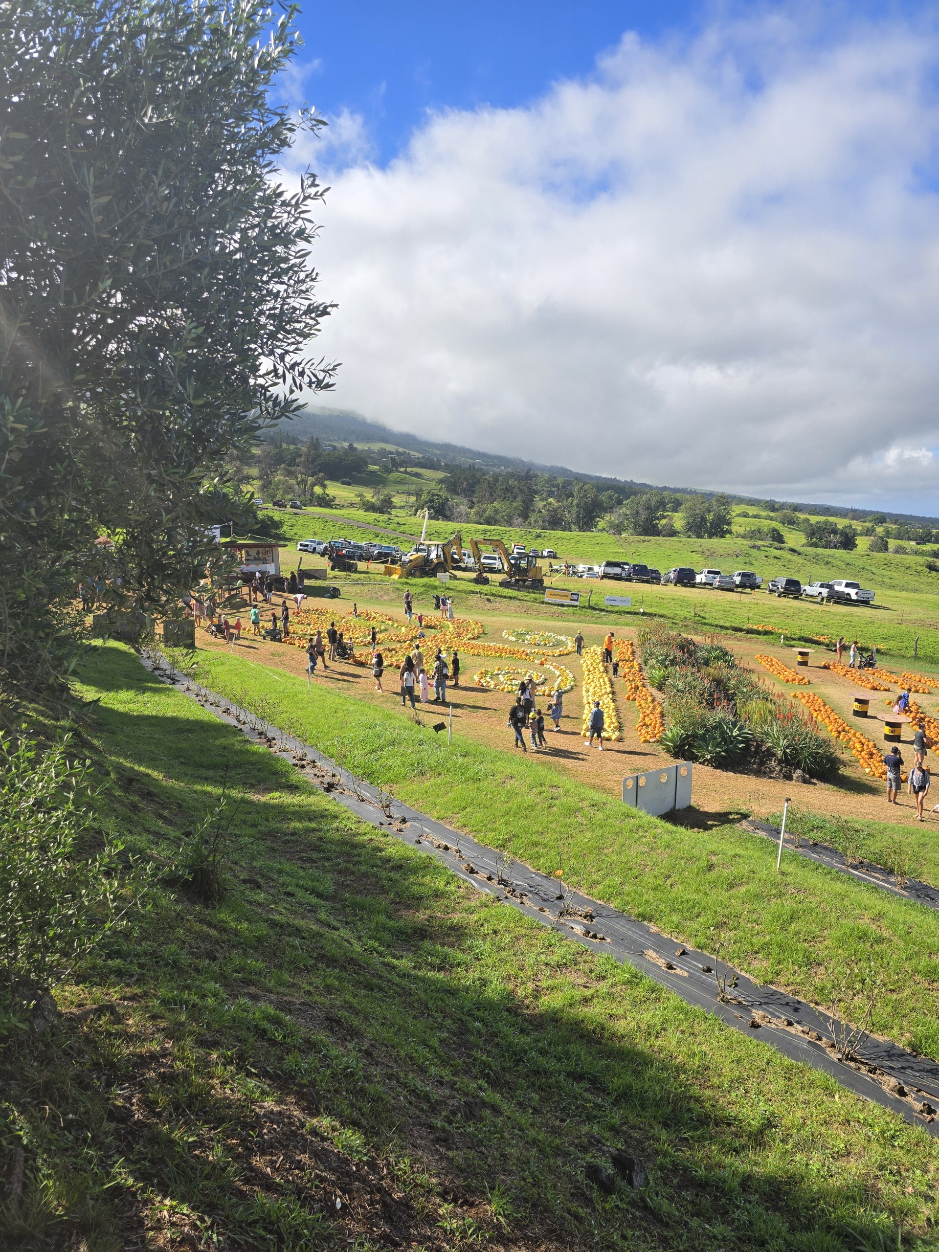 kula country farms