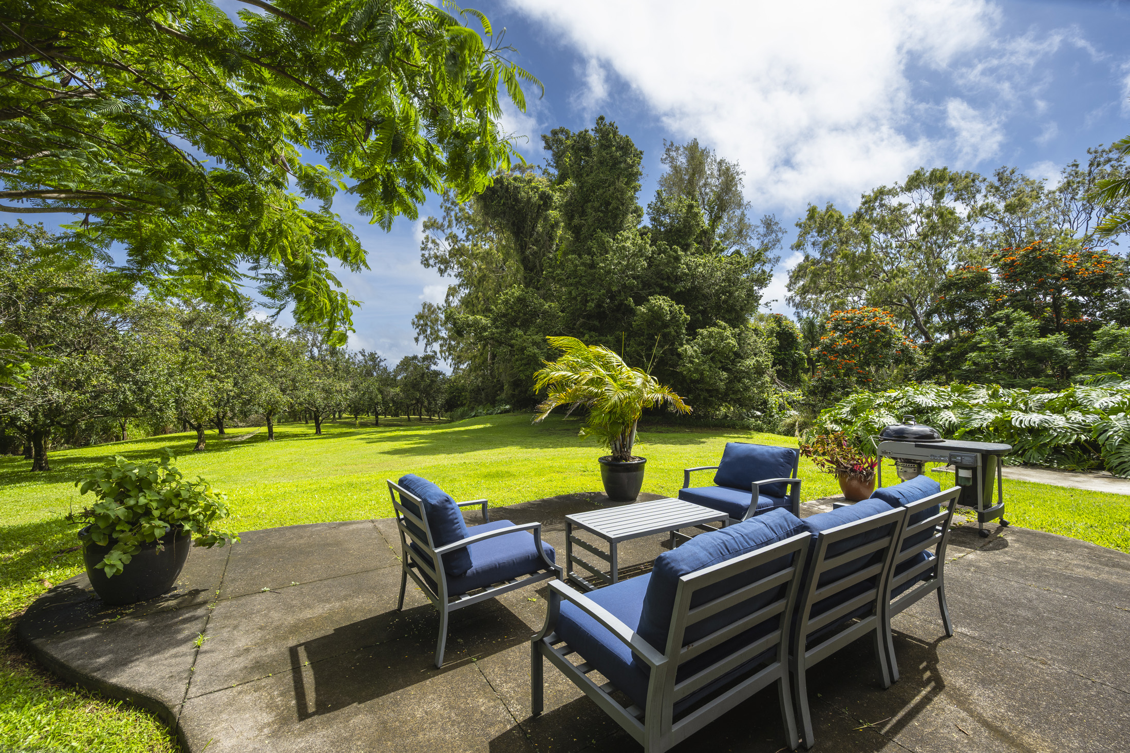 53-532 Iole Road home for sale on macadamia nut farm