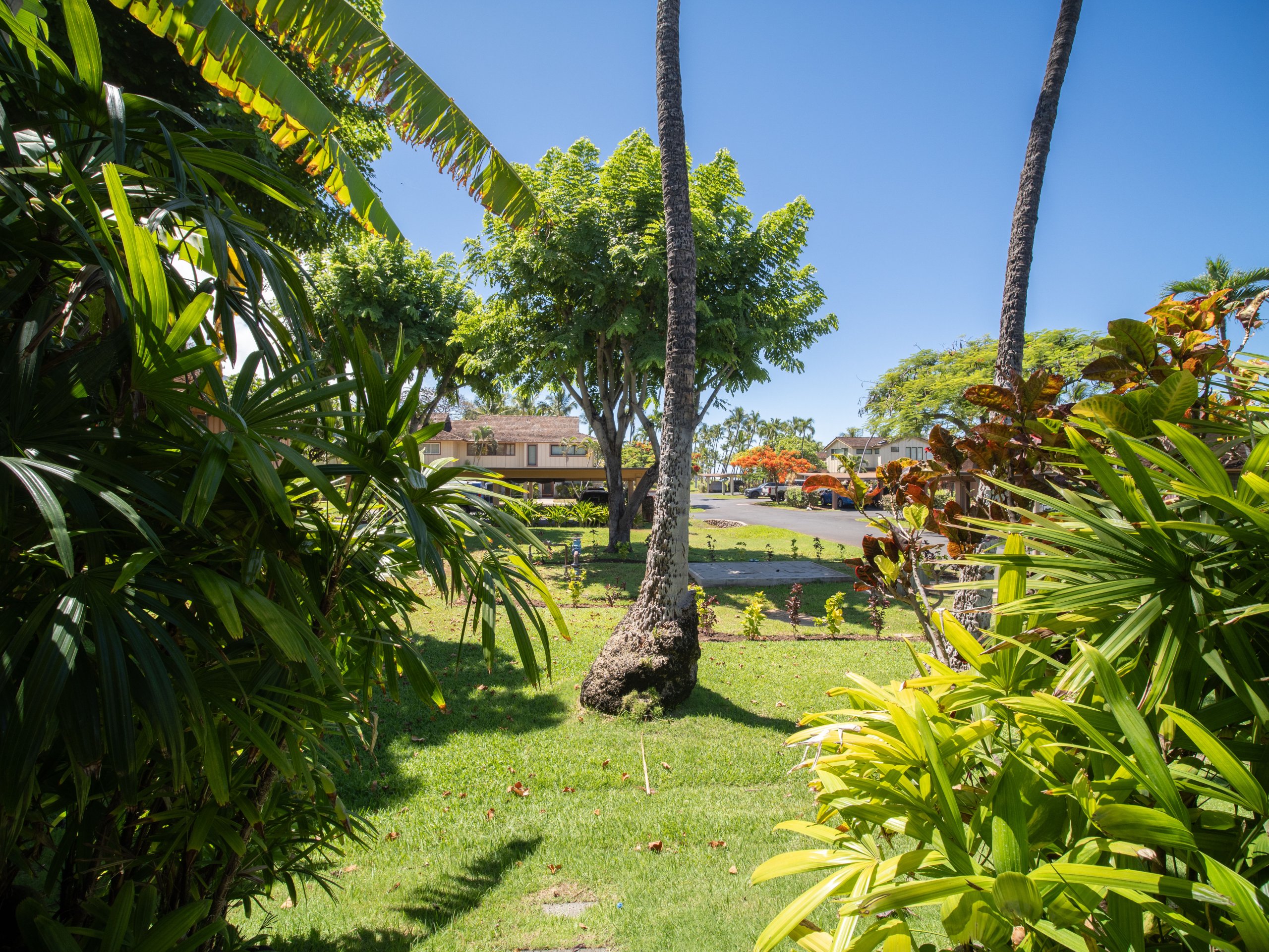Puamana community on west maui