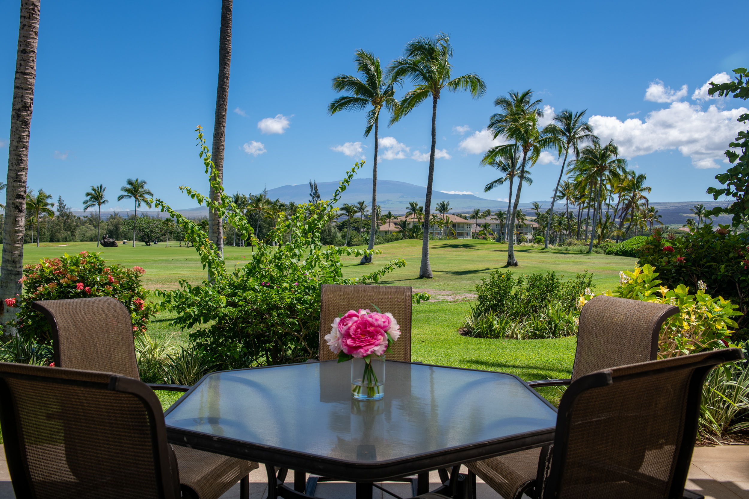 Mountain views from this big island home for sale at waikoloa beach resort
